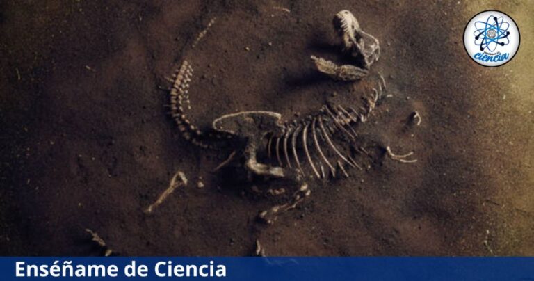 Copia-de-EdCiencia-Destacada-3.jpg