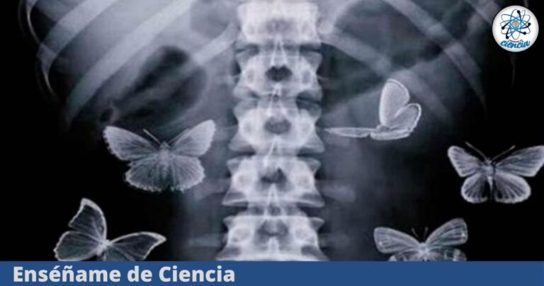 EdCiencia-1Destacada-2024-02-03T234639.228.jpg