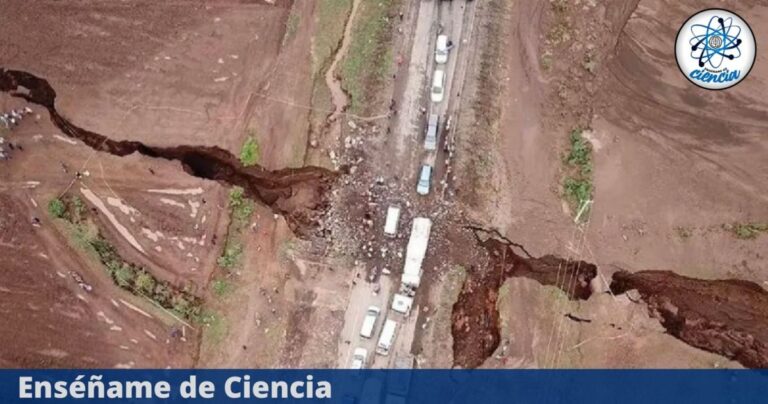 EdCiencia-continente-Destacada-2.jpg