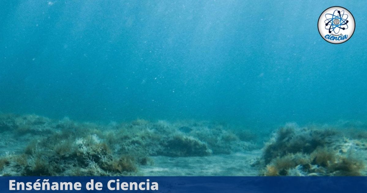 C-de-EdCiencia-jh-destacada.jpg