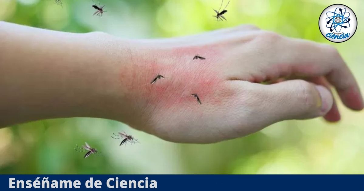 Copia-de-Copia-de-EdCiencia-rou-Destacada-46-1.jpg