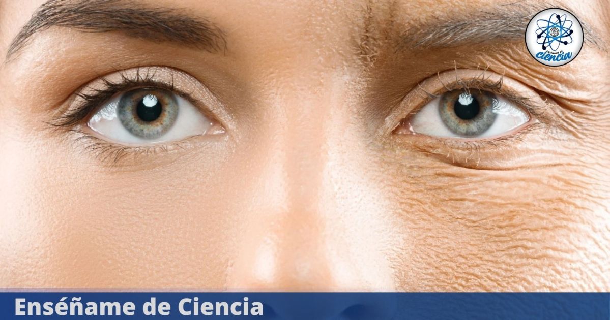 EdCiencia-acertijo-Destacada_20240623_132707_0000.jpg