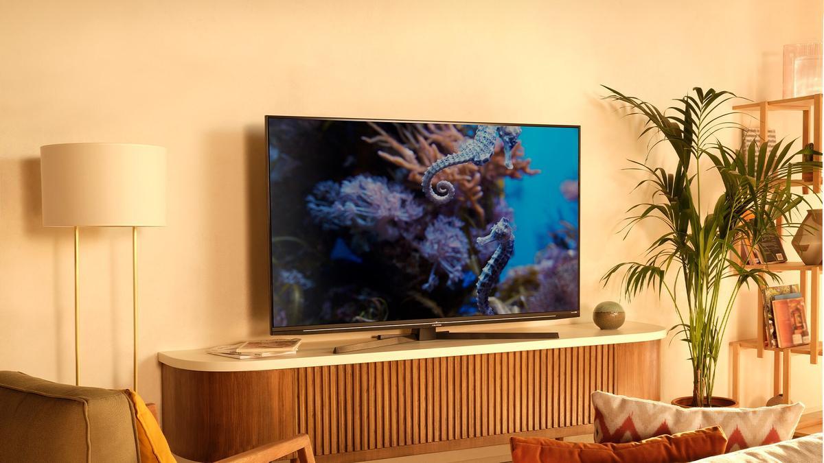 84e945f2-ef03-42b0-8e75-a781ffd2c44d_16-9-discover-aspect-ratio_default_0.jpg