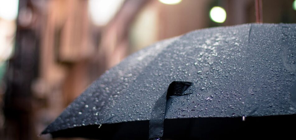 Captura-de-pantalla-2025-03-14-083755